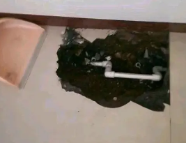 惠水卫生间测漏水多少钱
